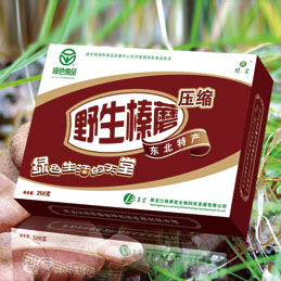 压缩野生榛蘑